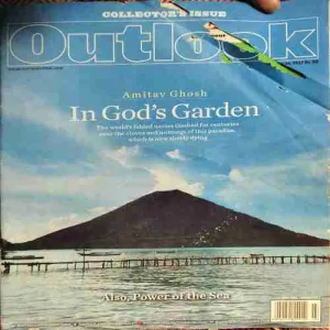 Outlook ( 16th January 2017 )