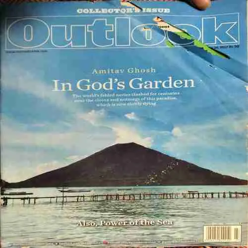 Outlook ( 16th January 2017 )