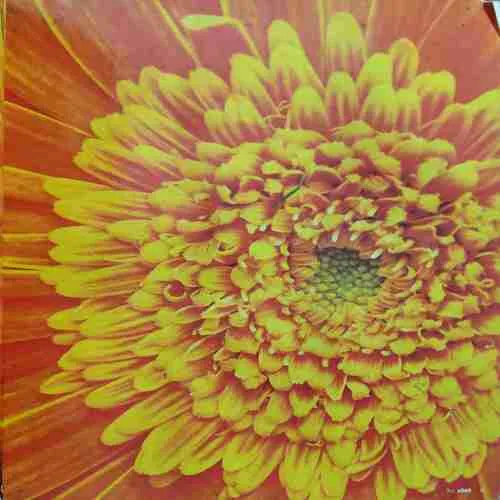 Document 2_5 Yes Osho ( September 2017 )