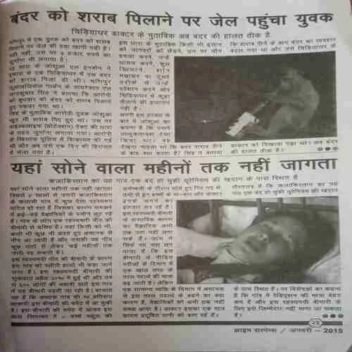 Crime suspense (January 2015 )