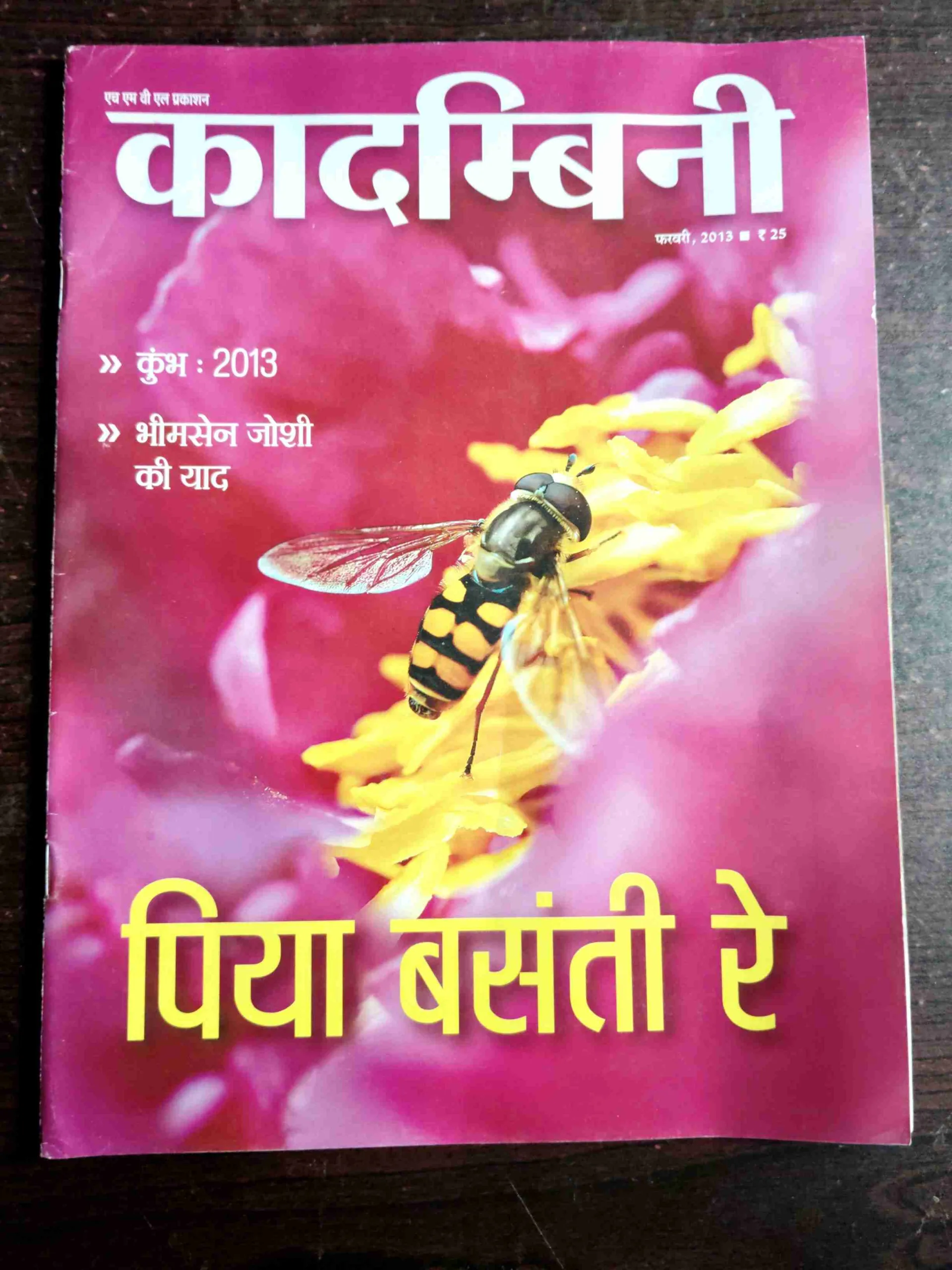 Kadambini ( February , 2013 )