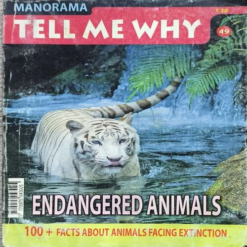 Tell Me Why ( October 2010 )