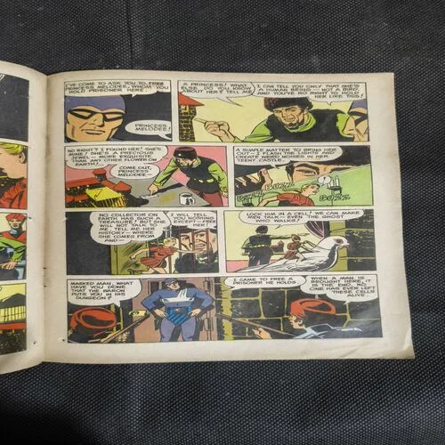 The Captive Princess