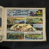 The Captive Princess