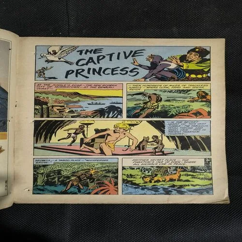 The Captive Princess