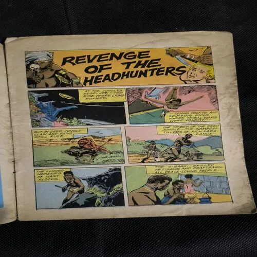 Revenge Of The Headhunter