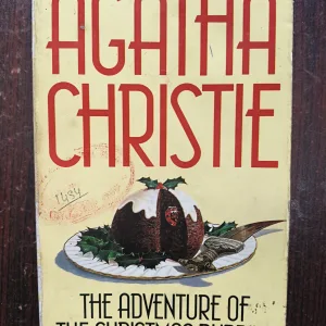 The Adventures Of The Christmas Pudding