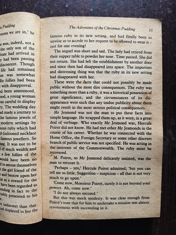 The Adventures Of The Christmas Pudding