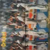 Document 3_51 Cricket Samrat ( Poster cs No 3 )