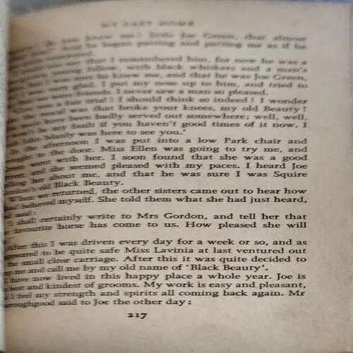 Black Beauty (pages 218)