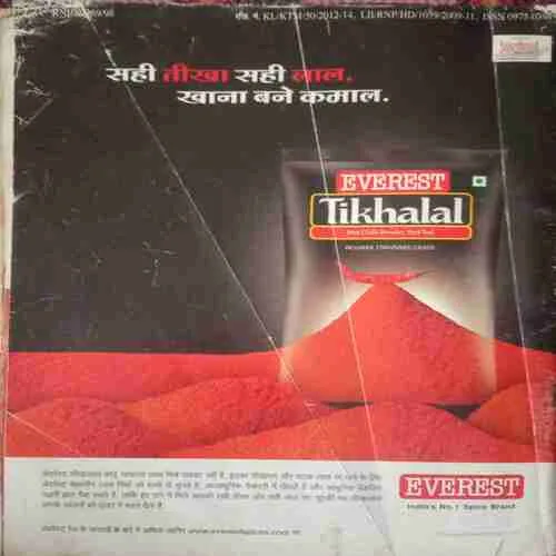 Vanita ( February 2012) damage cover page