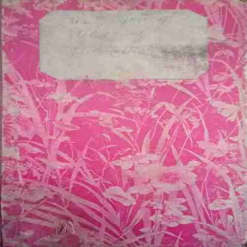 The Young Detectives (By=R.J Mc Gregor ) ( Total page no=191) (year of publish=1934 )