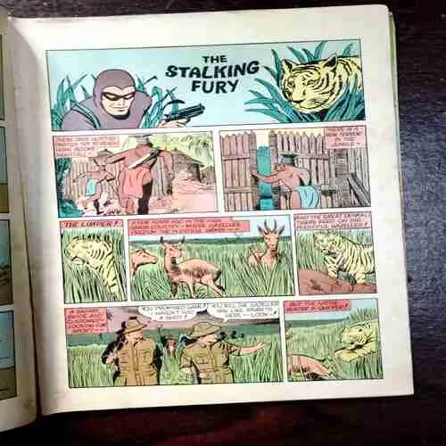 The Stalking Fury ( Vol. 20 , No. 47 )