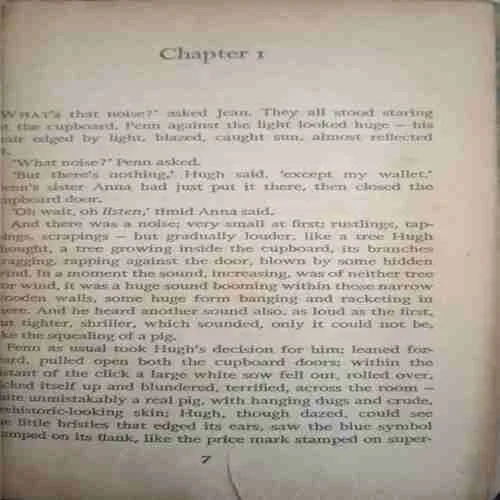 Document 4_72 A Castle of Bone (By= Penelope Farmer) ( Total page no=153) (year of publish=1972 )