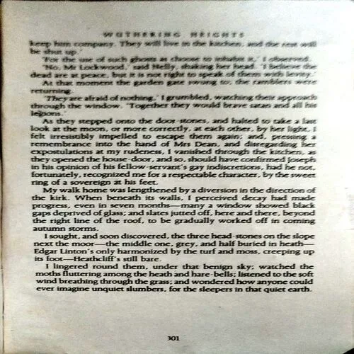 Wuthering Heights (pages 416) (By Emily Bronte)