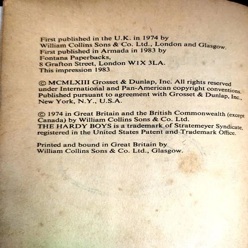 The Viking Symbol Mystery (pages 136) (BY Franklin W. Dixon)