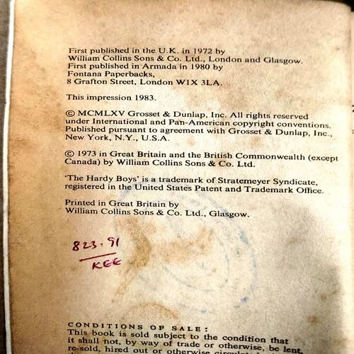 The Great Airport Mystery (pages 158)