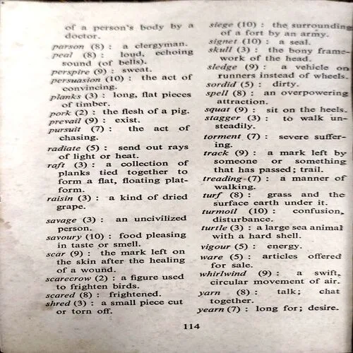 Reading For Pleasures (pages 114)