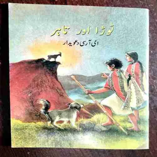 Towda And Shahr ( Ami rsi contender )