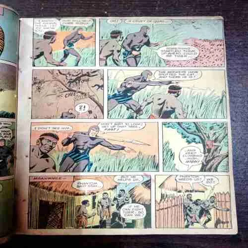 The Dreaded Deep Woods