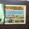 Monarchs Of The Jungle Part-2 ( Front Cover Big Cut )