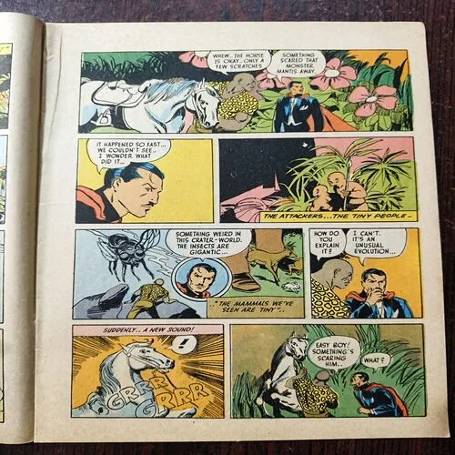 The scary Wonderland