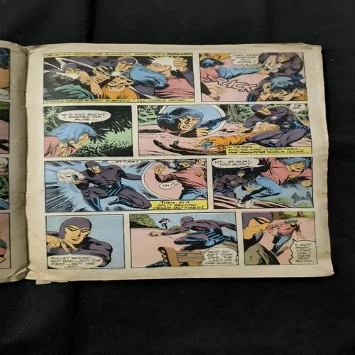 The Infuriated Ghost