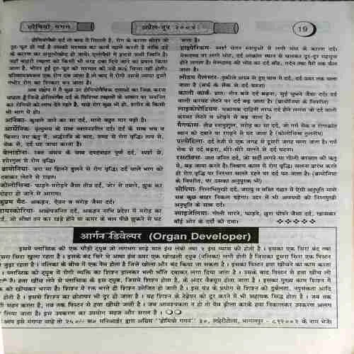 Homeogagan ( April - July 2004 )