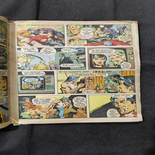 The Infuriated Ghost