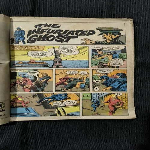 The Infuriated Ghost