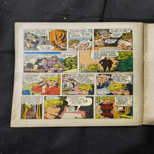 Document_68 The Shrouded Mystery