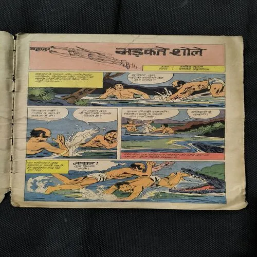 Bahadur Bhadakte Shole