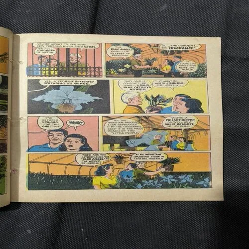 The Iron Willed Saviour Part 1