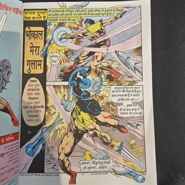 Bhokal Mera Gulam - Original Print