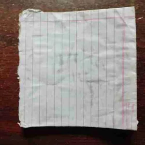 Archie's Pals'n' Gals Double Digest