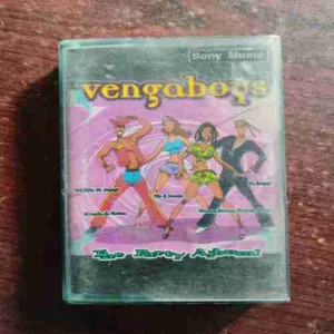 VENGABOY ; THE PARTY ALBUM
