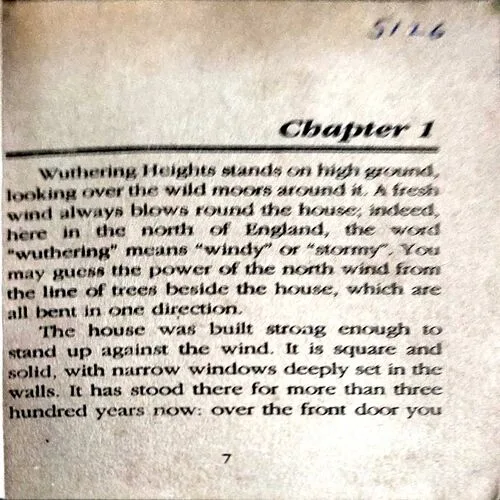 Wuthering Heights (pages 236)