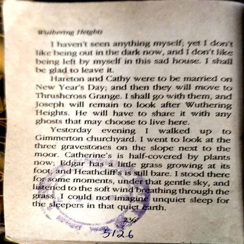 Wuthering Heights (pages 236)