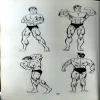 Super Exercises Bodybulding (pages 220)