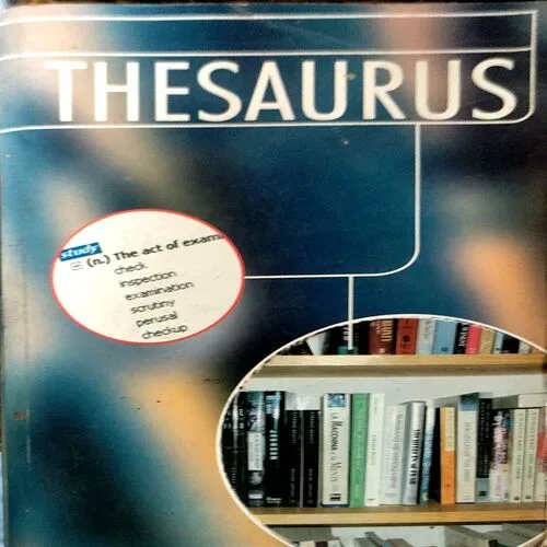 Thesaurus (pages 312)