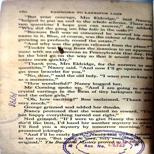 Password To Larkspur Lane (pages 160)