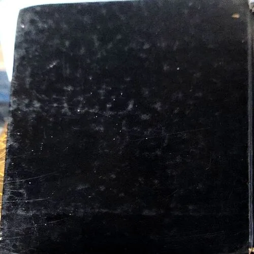 Lev Tolstoy (pages 518)