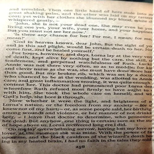 Lorna Doones (pages 296)