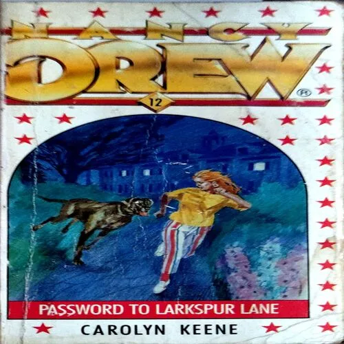 Password To Larkspur Lane (pages 160)