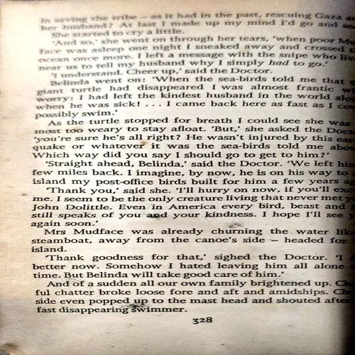 Document 19_41 Doctor Dollitle And The Secret Lake (pages 328)