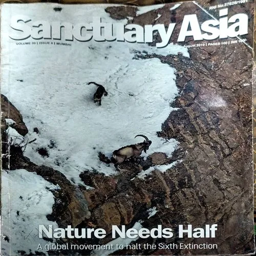 Sanctuary Asia (VOL 3)