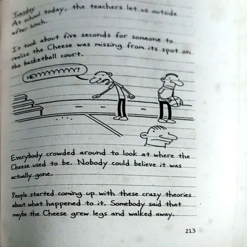 Diary Of A Wimpy Kid A Novel In The Caartoon (pages 218)