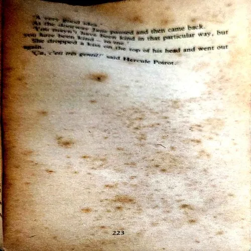 Death In The Clouds (pages 224)