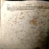 Document 28_59 I am Dead But My Heart Beats (pages 224)