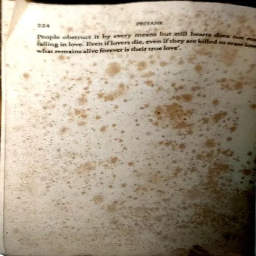 Document 28_59 I am Dead But My Heart Beats (pages 224)